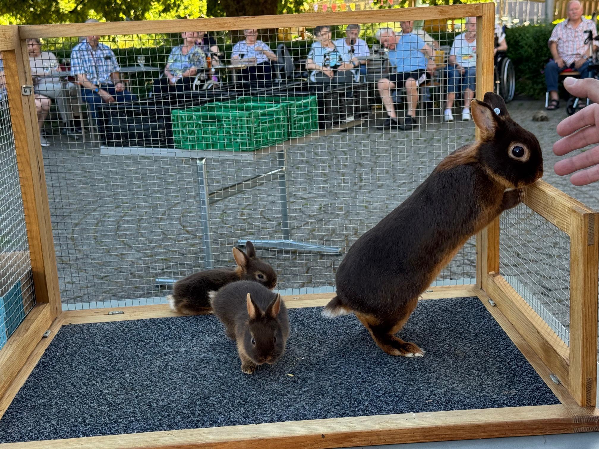 2026.06.18 Sommerabend tierischer Abend (14)