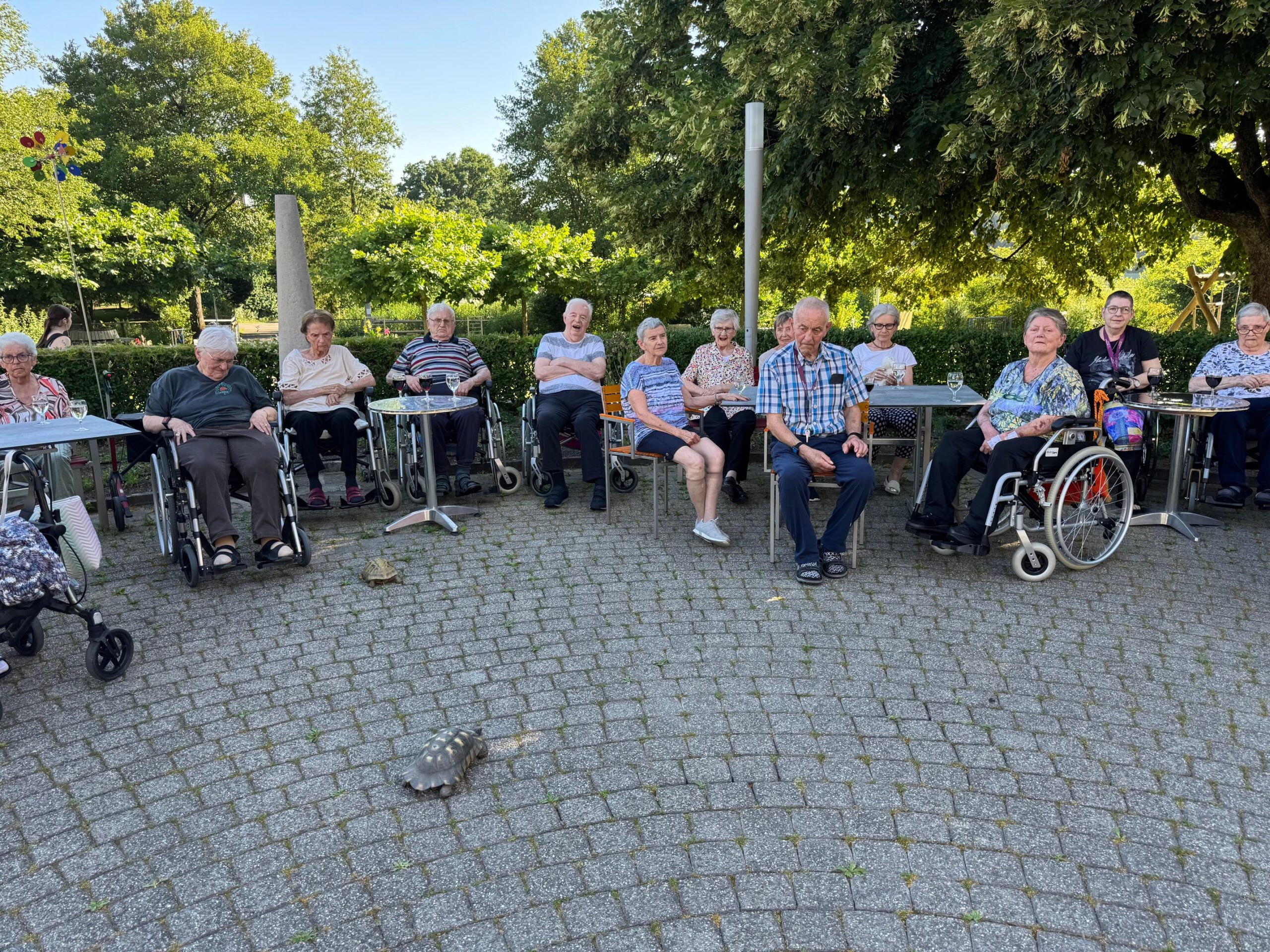 2026.06.18 Sommerabend tierischer Abend (3)