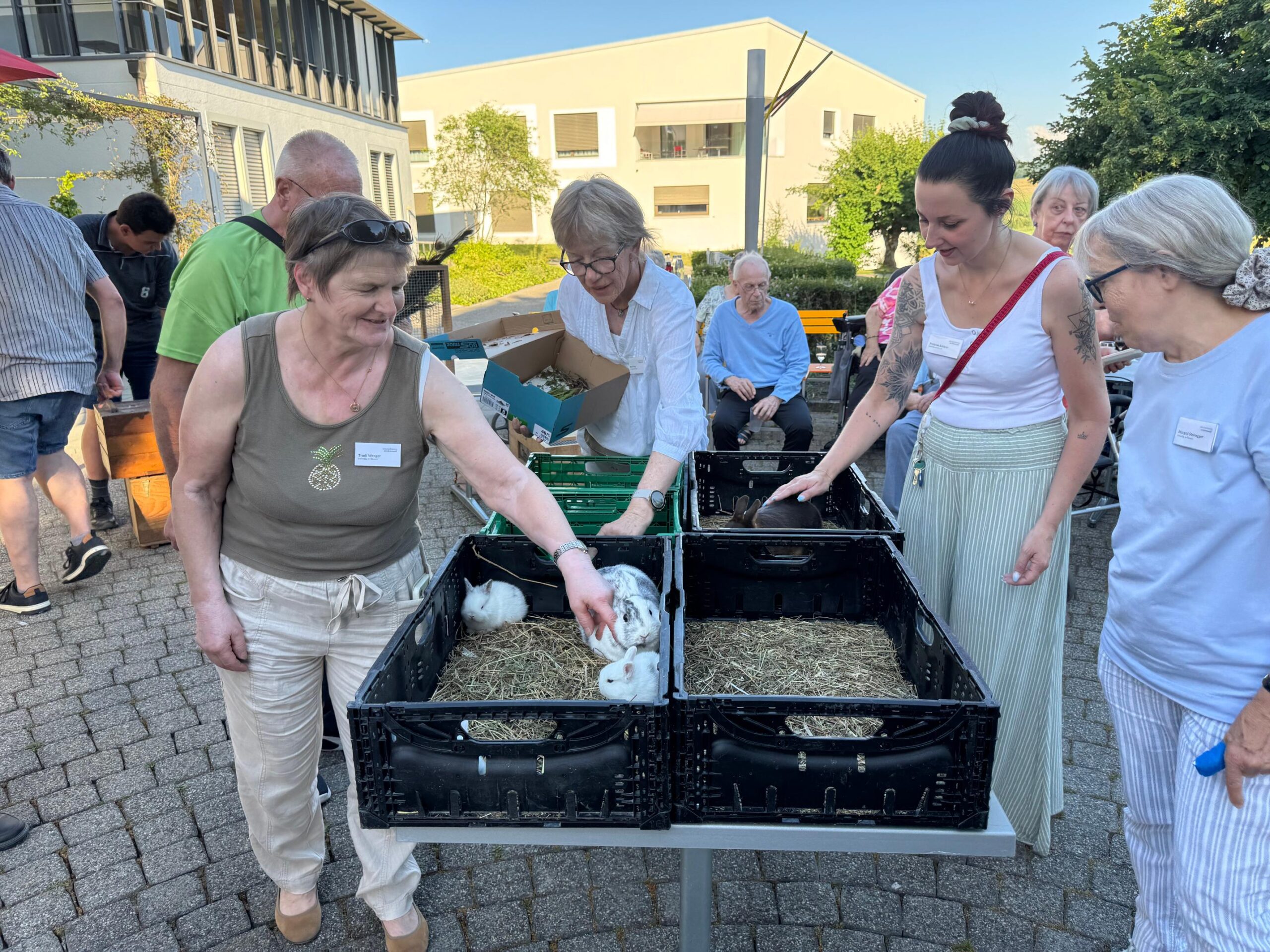2026.06.18 Sommerabend tierischer Abend (38)