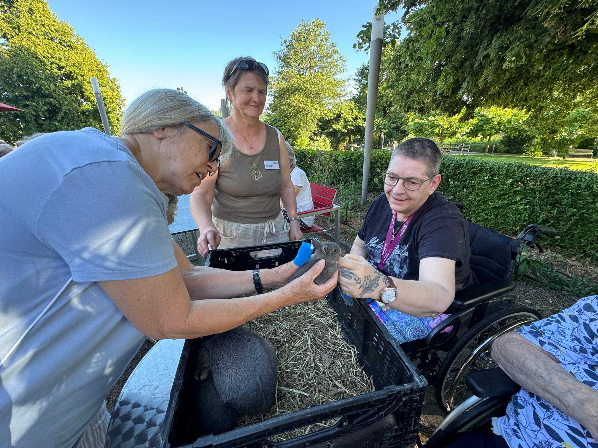 2026.06.18 Sommerabend tierischer Abend (46)