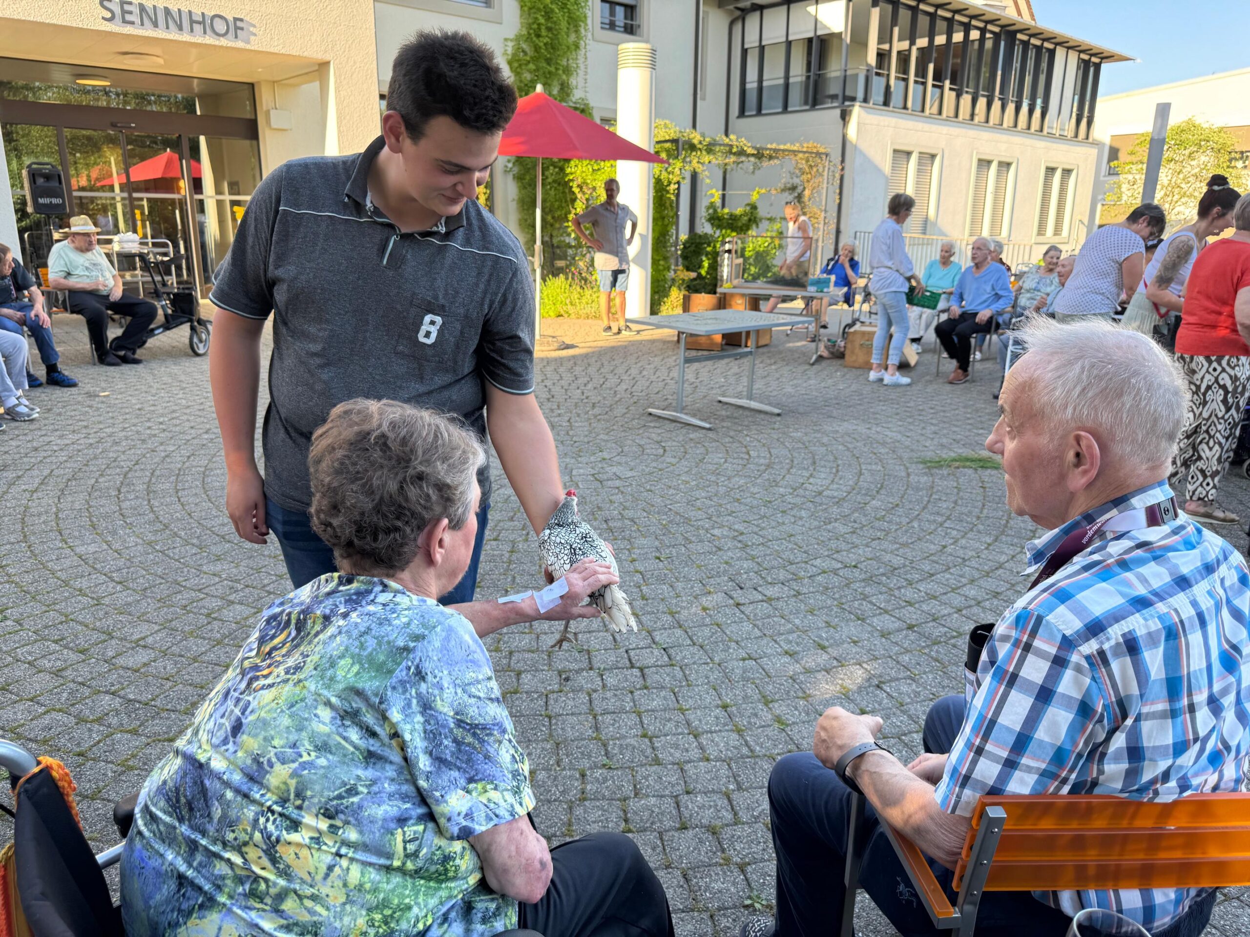 2026.06.18 Sommerabend tierischer Abend (51)