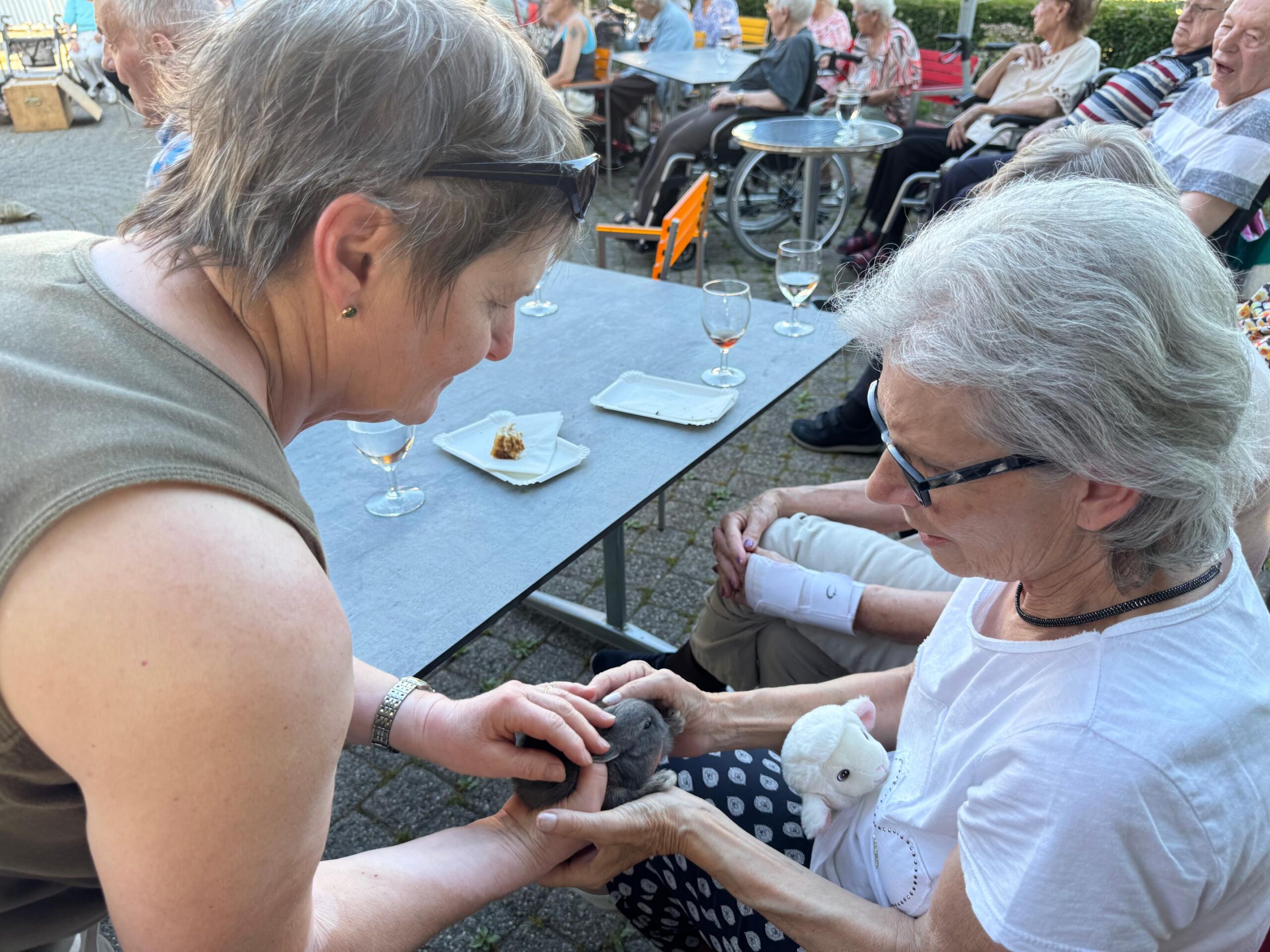 2026.06.18 Sommerabend tierischer Abend (52)