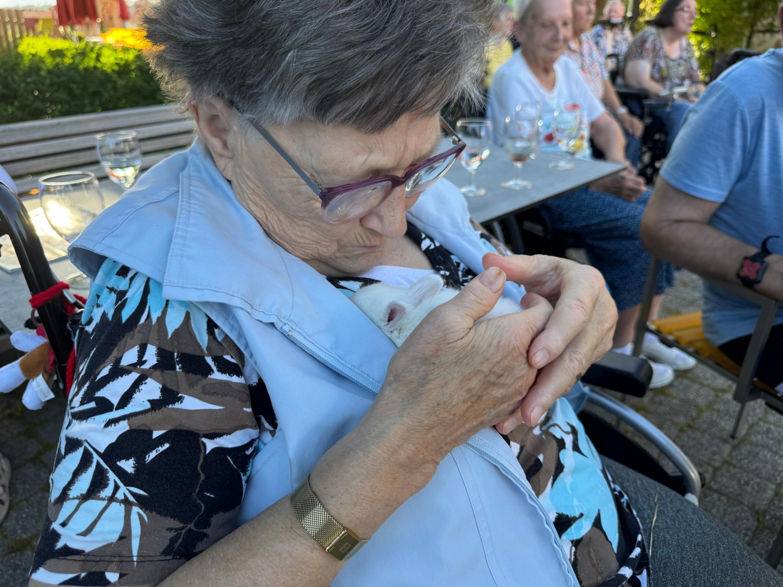 2026.06.18 Sommerabend tierischer Abend (57)