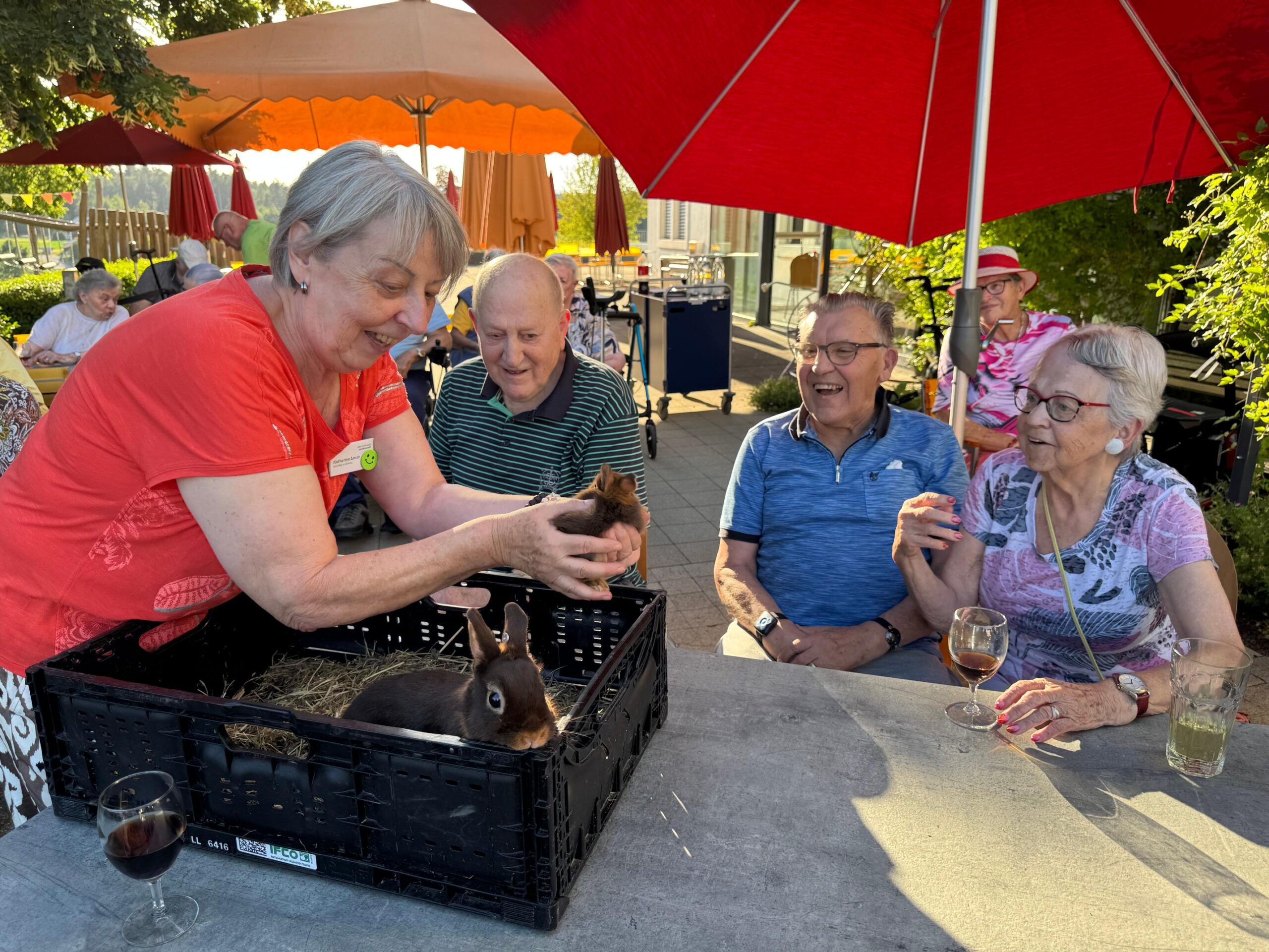 2026.06.18 Sommerabend tierischer Abend (61)