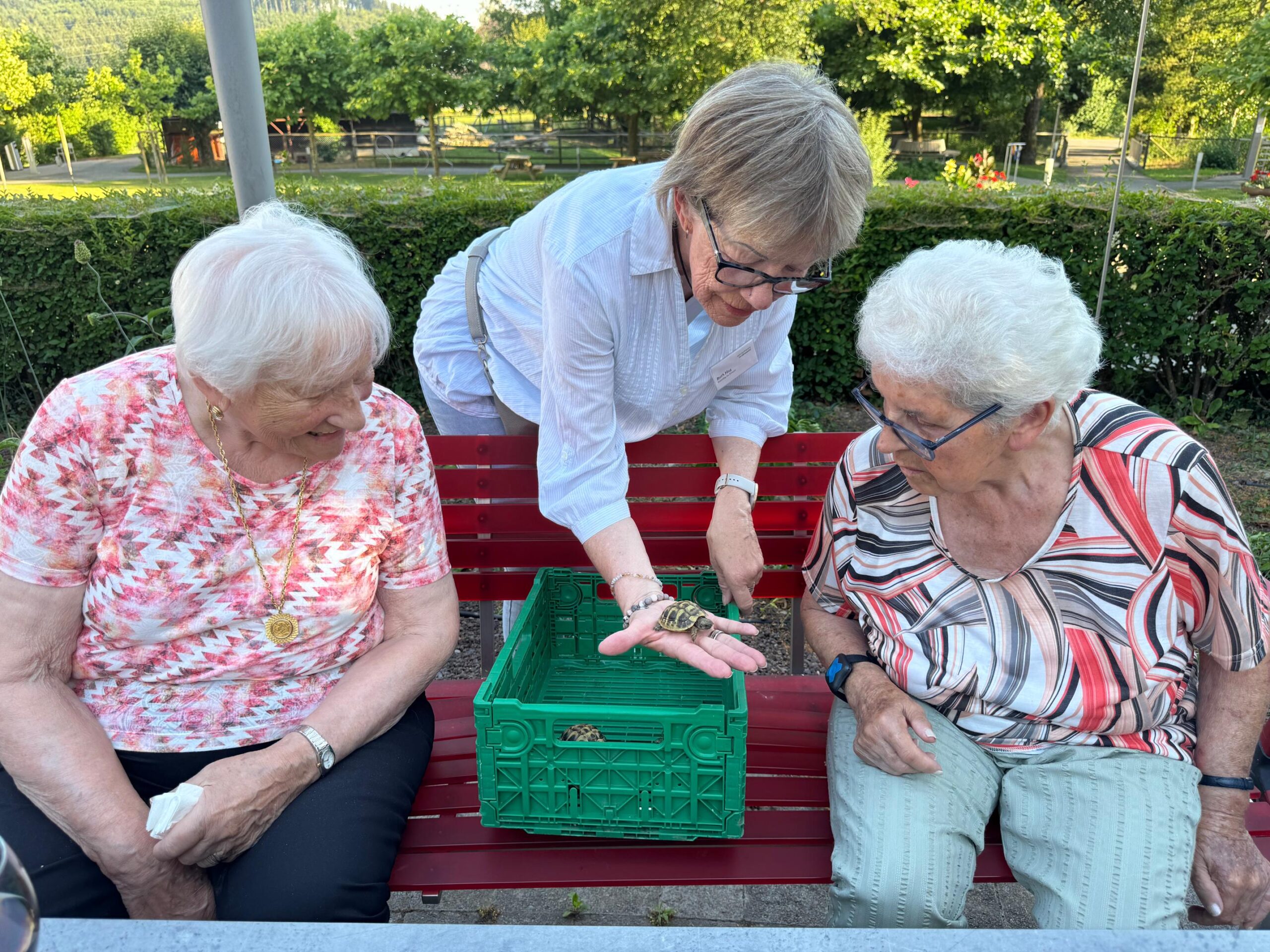 2026.06.18 Sommerabend tierischer Abend (65)